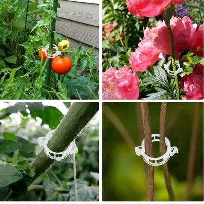 Organic Plant Care Combo | Root Booster + Support Clips
