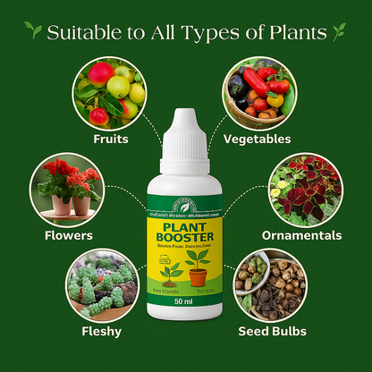 Organic Plant Care Combo | Root Booster + Support Clips