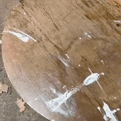 Vitx WoodCare Pro | India's No. 1 Natural Furniture Shine & Protection Spray