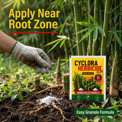Cyclosinone Herbicide Granules|BUY1 GET 1 FREE