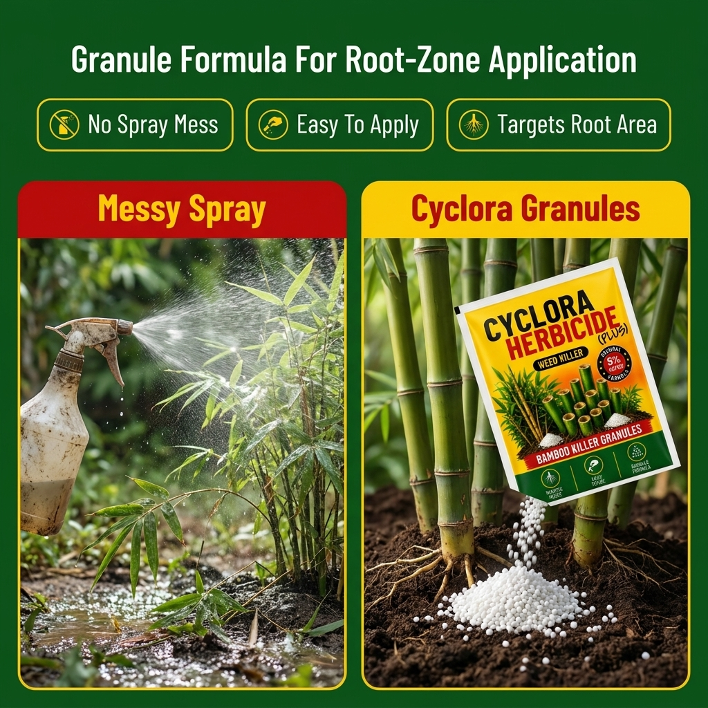 Cyclosinone Herbicide Granules|BUY1 GET 1 FREE