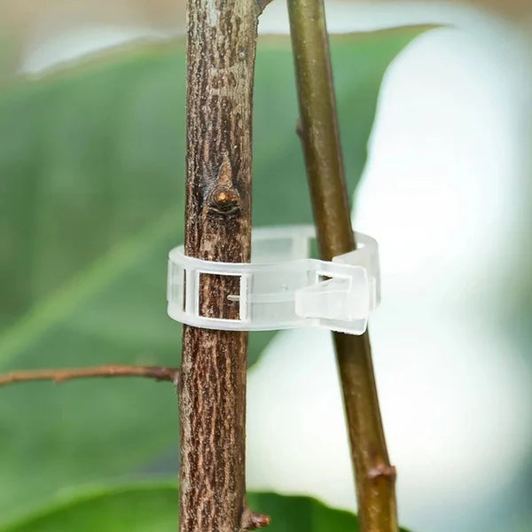 Organic Plant Care Combo | Root Booster + Support Clips