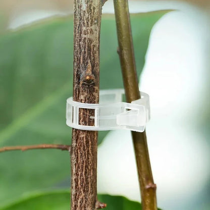 Organic Plant Care Combo | Root Booster + Support Clips